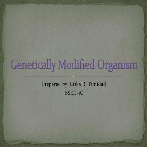 Genetically modified organism