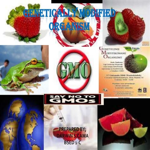 Genetically modified organism | PPTX