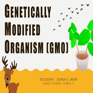 Genetically Modified Organism (GMO)