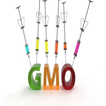 Genetically Modified Organisms (GMOs)