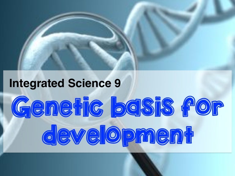 basis for development
