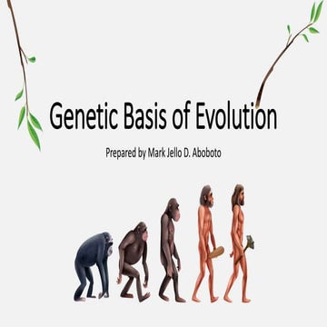 Genetic Basis of Evolution, powerpoint presentation