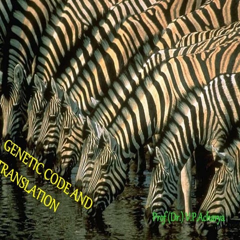 Genetic code and translation