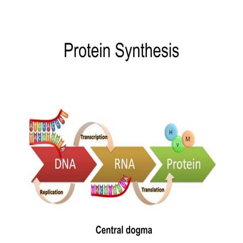 Genetic Code Mutations 35 Naruto sasuke cocaìna I love 8d tentacle porn the b...