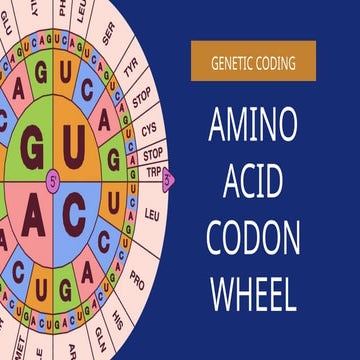 How to read a codons chart | PDF