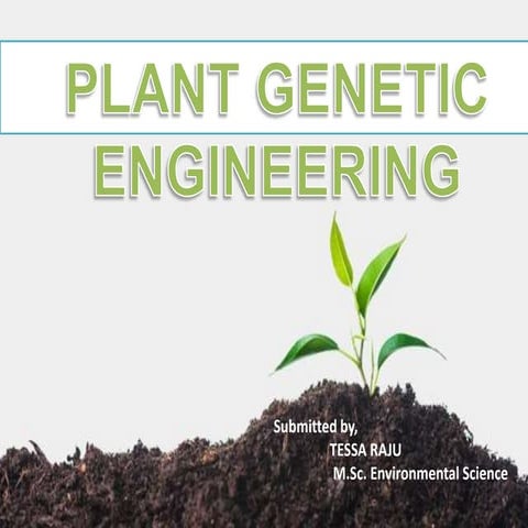 Plant Genetic engineering ,Basic steps ,Advantages and disadvantages