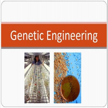 genetic engineering powerpoint  presentation