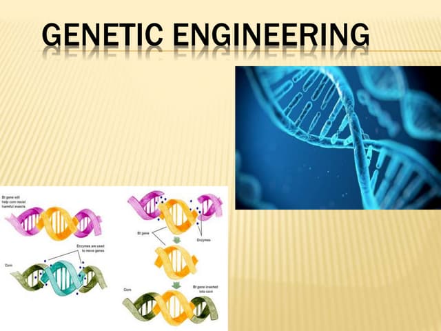 Genetic engineering 