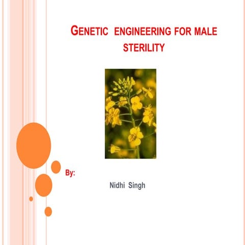 Genetic  engineering for male sterility
