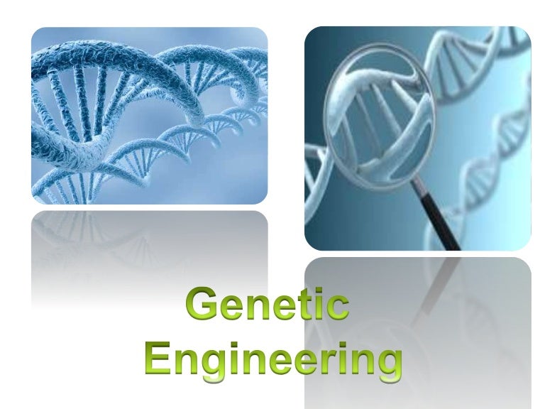 genetic engineering research project high school