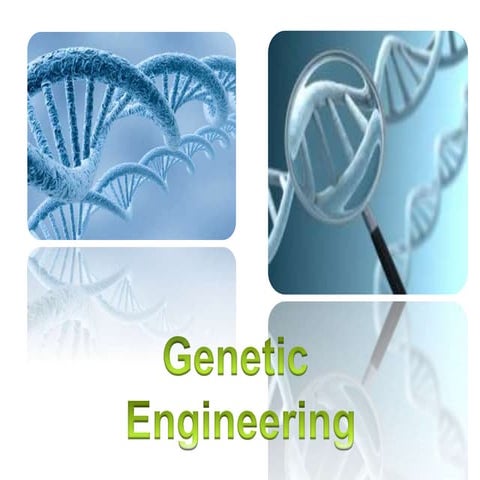 Genetic engineering project
