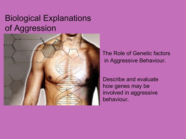 Genetic explanations of aggression 1