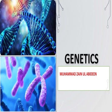 Genetic final