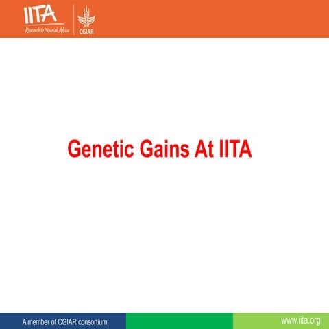 TL III_Genetic Gains at IITA