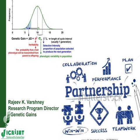 TL III_Genetic gains_ICRISAT
