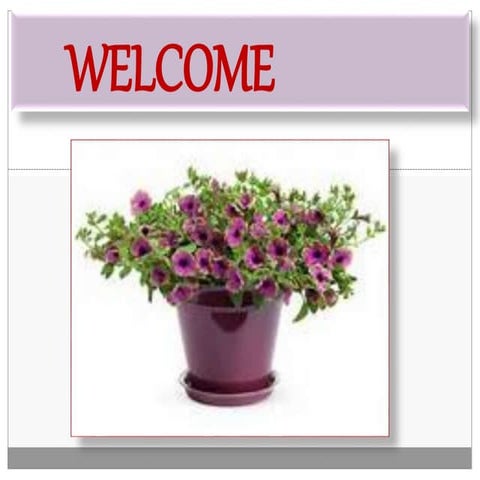 Genetic improvement,  achivements and hybrid seed production in petunia