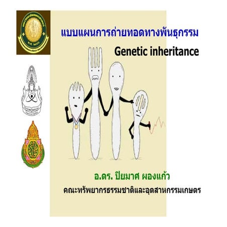 การถ่ายทอดทางพันธุกรรม