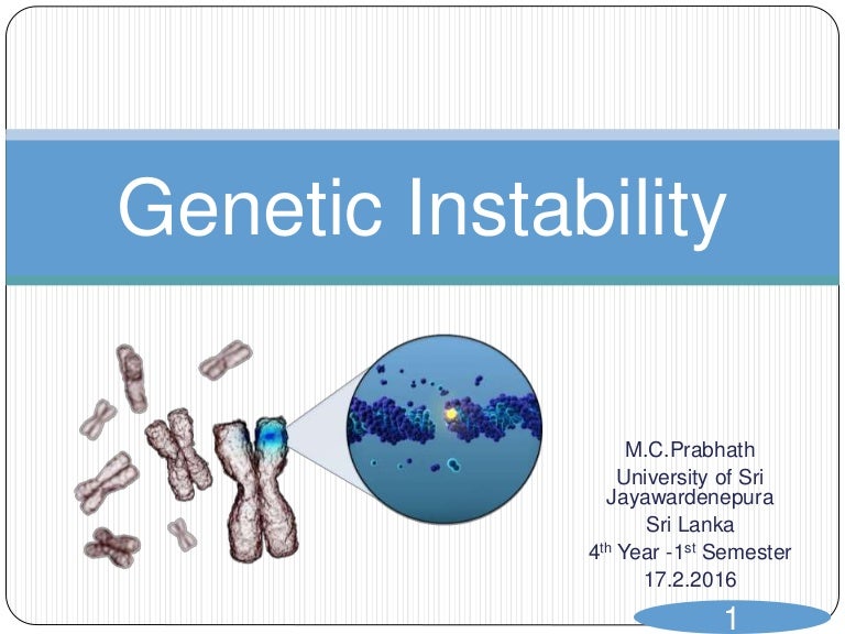 cancer genetic instability