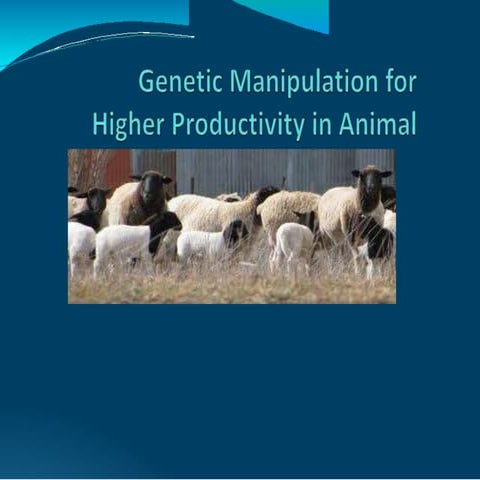 Genetic manipulation of animals.pptx