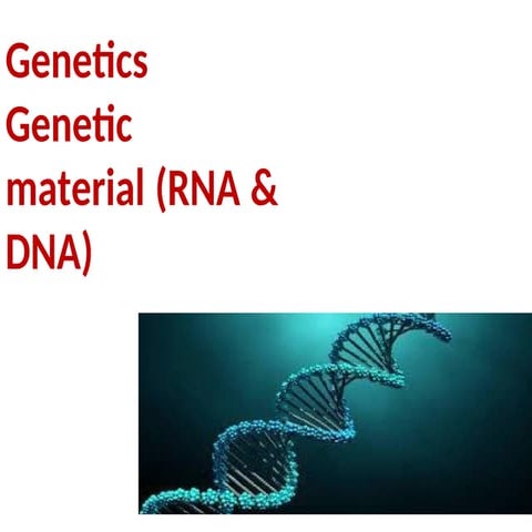 all about genetics and DNA , dna dupliation