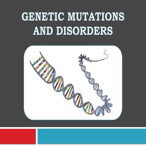 Genetic Mutations Power Point Shortened (2).pptx