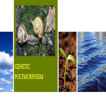 GENETIC POLYMORPHISM