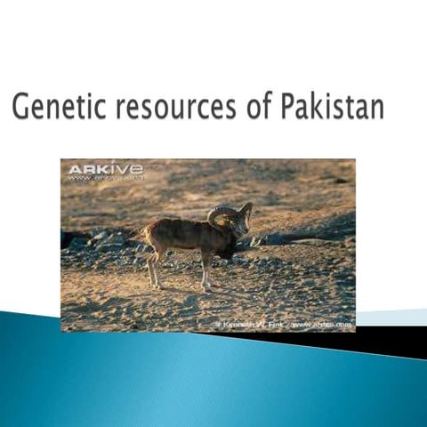 Genetic resources and live stock in pakistan