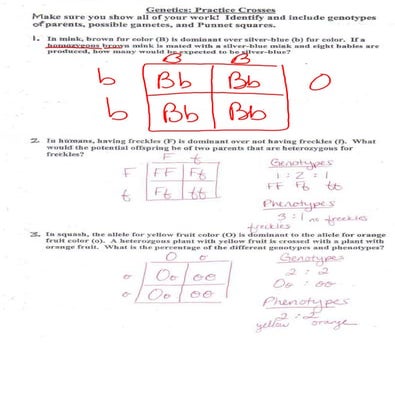 Genetic review for test