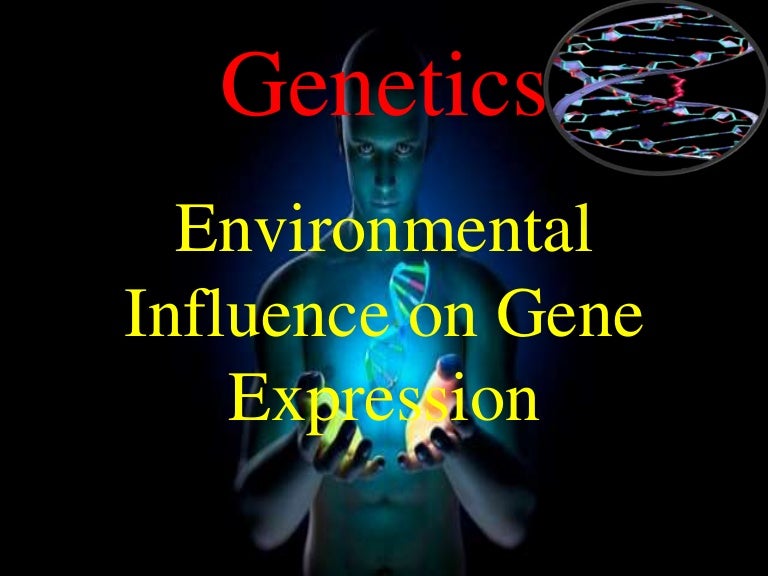 environmental influence on gene expression