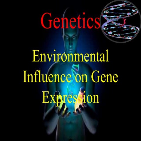 environmental influence on gene expression
