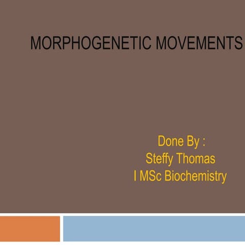 morphogenetic movements-developmental biology