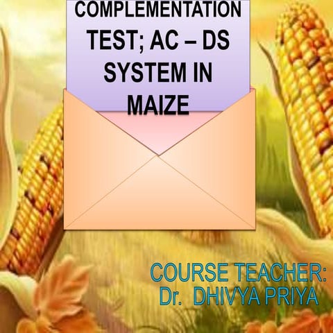 Complementation test; AC-DS System in Maize