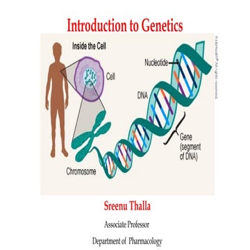 Introduction to Genetics including Chromosomes