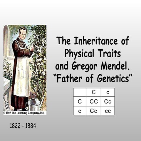 Genetics And Mendel