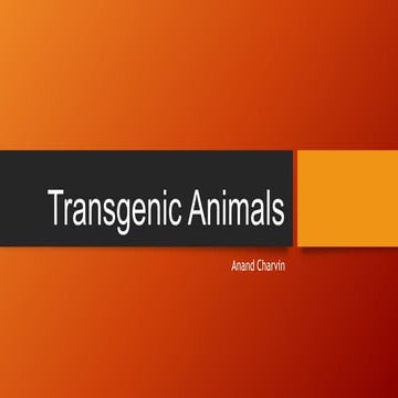 Transgenic Animals