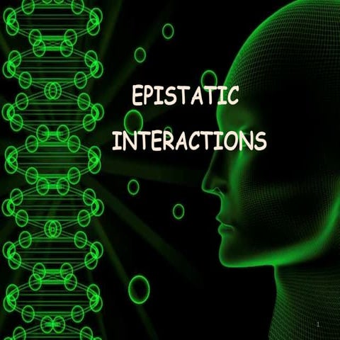 Epistatic Interaction - 02 03-2015