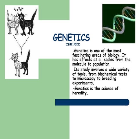 GENETICS (1).pptjjjjjjjjjjjjjjjkkkkkkkkkkl | PPT