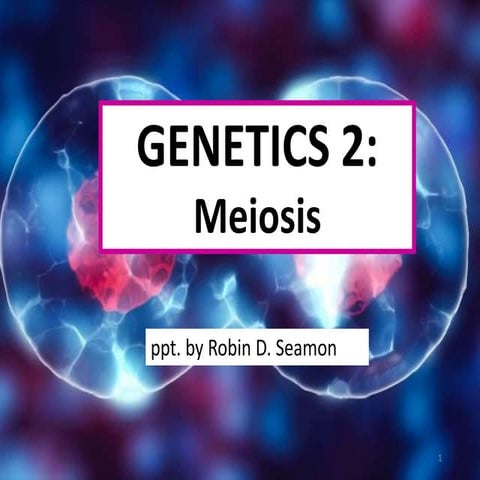 Genetics 2 Meiosis