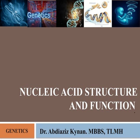 nucleic acid structure and its function. | PPTX