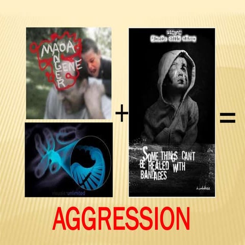 Genetics and aggression A2