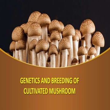 Genetics and breeding of cultivated mushroom