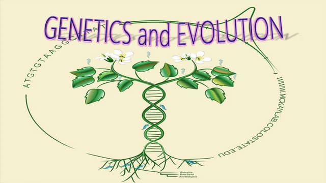 Genetics and evolution | PPT