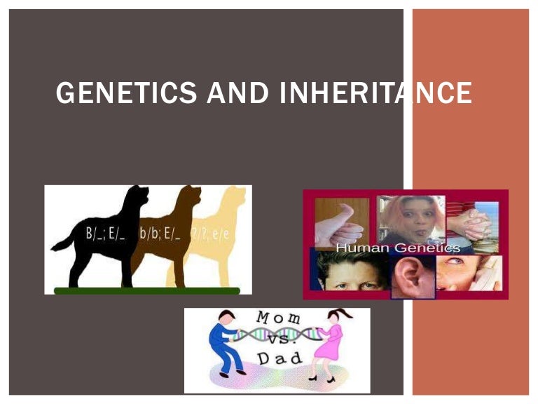 Genetics and inheritance