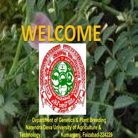 Genetics and plant breeding seminar