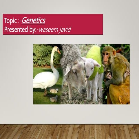 Basics of Genetics presented by waseem javid