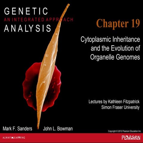 Geneticschapter19 140305210556-phpapp01