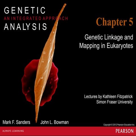 Geneticschapter5part1 140222103829-phpapp02