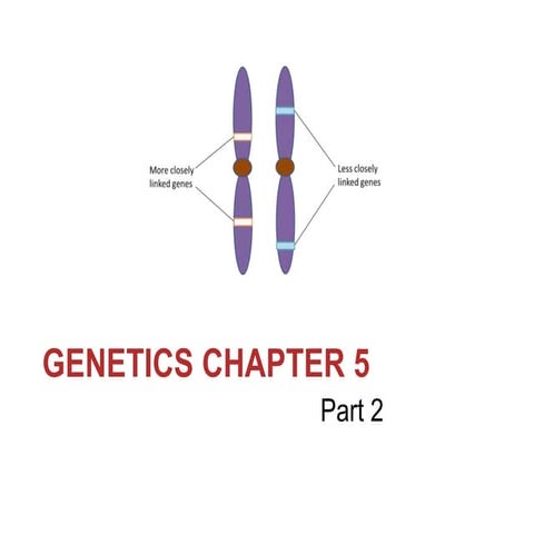 Geneticschapter5part21 140222104013-phpapp01