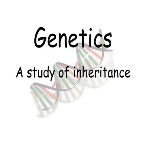 Genetics Intro