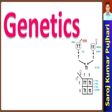 Genetics introduction